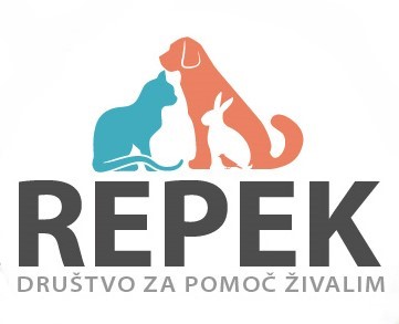 logo Repek