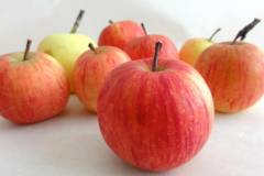 Dan splošnih knjižnic