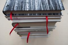 Predavanje: Motivacija za življenje