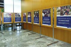 Razstava: Begunec, migrant, človek