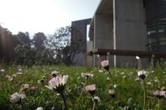 Voščilo in vabilo ob kulturnem prazniku