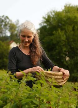Pogovori o vrtu: Vrt in ljudsko zdravilstvo
