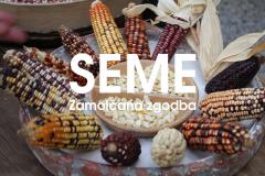 Premiera filma Seme: zamolčana zgodba