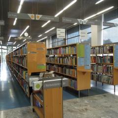 Knjižnica spreminja barve