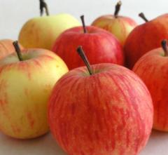 Oktober v knjižnici