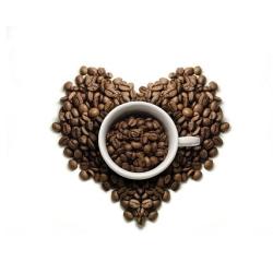 Srečanje Hospickafe